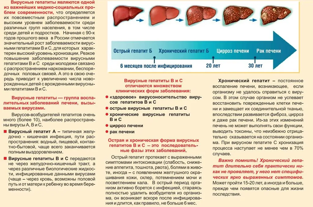Снимок экрана 2025-03-25 085642