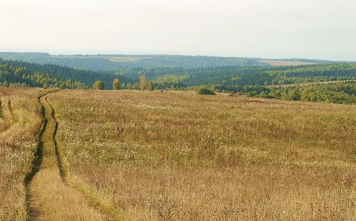 каменный лог1