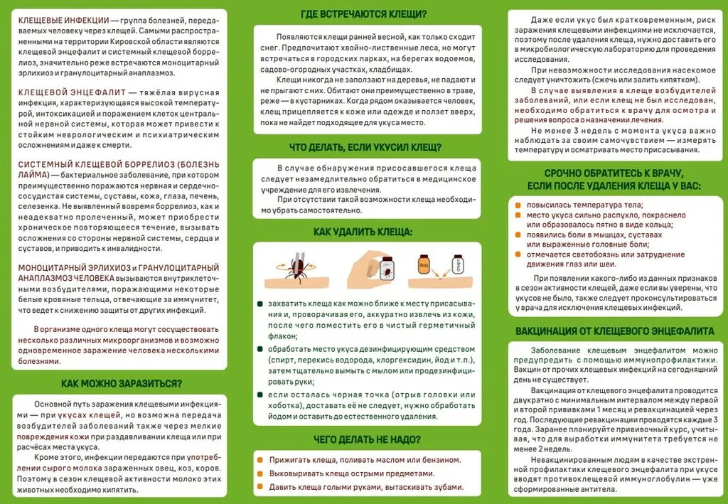 Снимок экрана 2025-03-25 084230