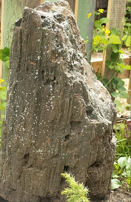 каменный лог2