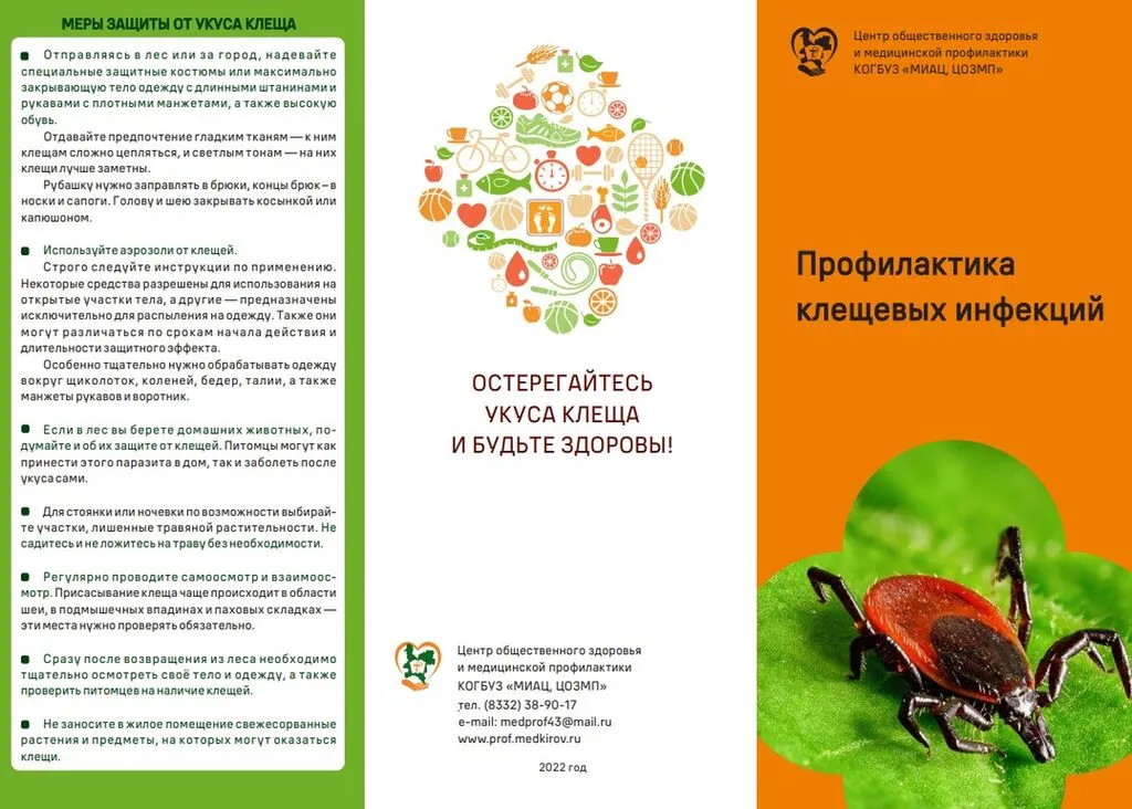 Снимок экрана 2025-03-25 084204