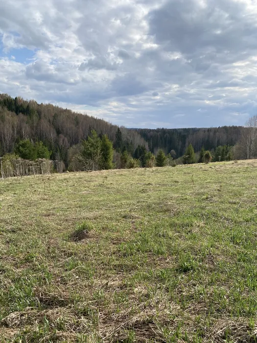 Каменный лог