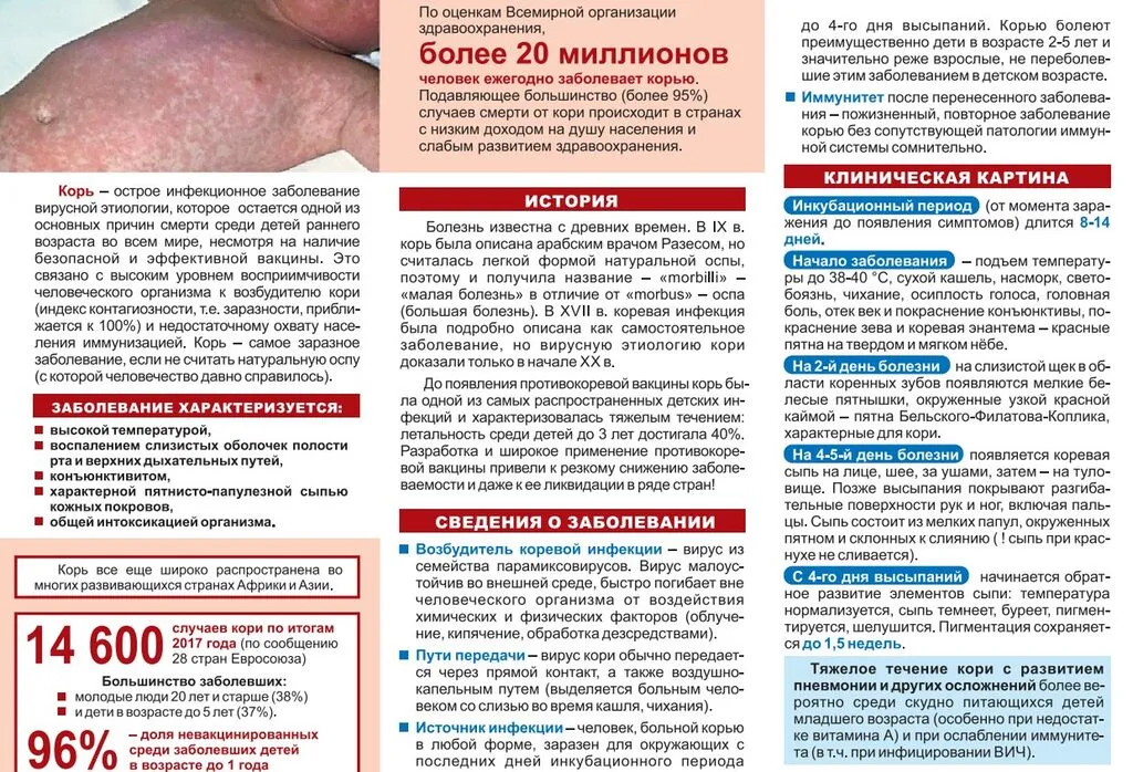 Снимок экрана 2025-03-25 085011