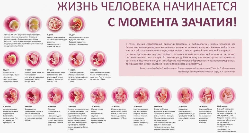 Снимок экрана 2025-04-01 095933