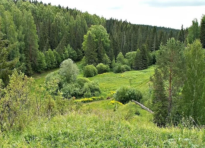 каменный лог