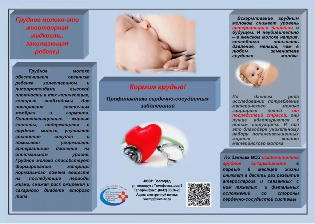 Снимок экрана 2025-08-05 101105